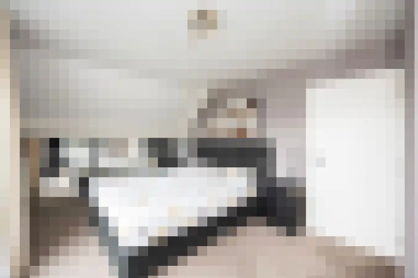 De Singel 27 Dalfsen thumbnail 26