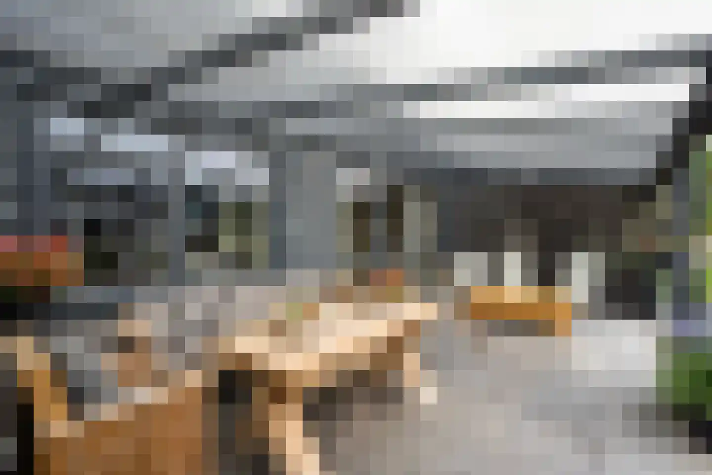 De Singel 27 Dalfsen thumbnail 39