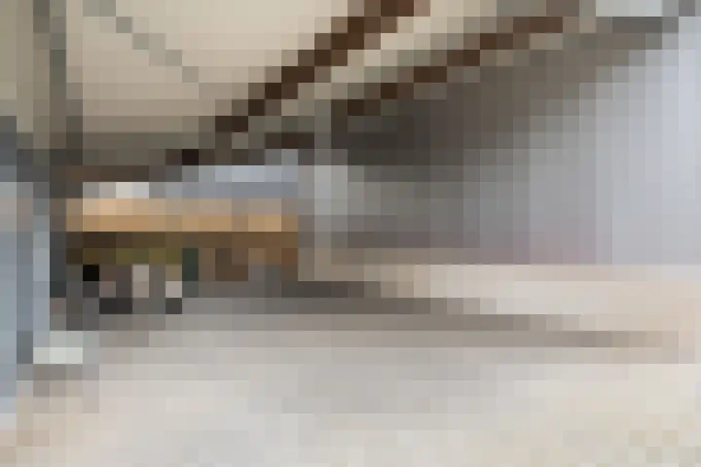 De Singel 27 Dalfsen thumbnail 50