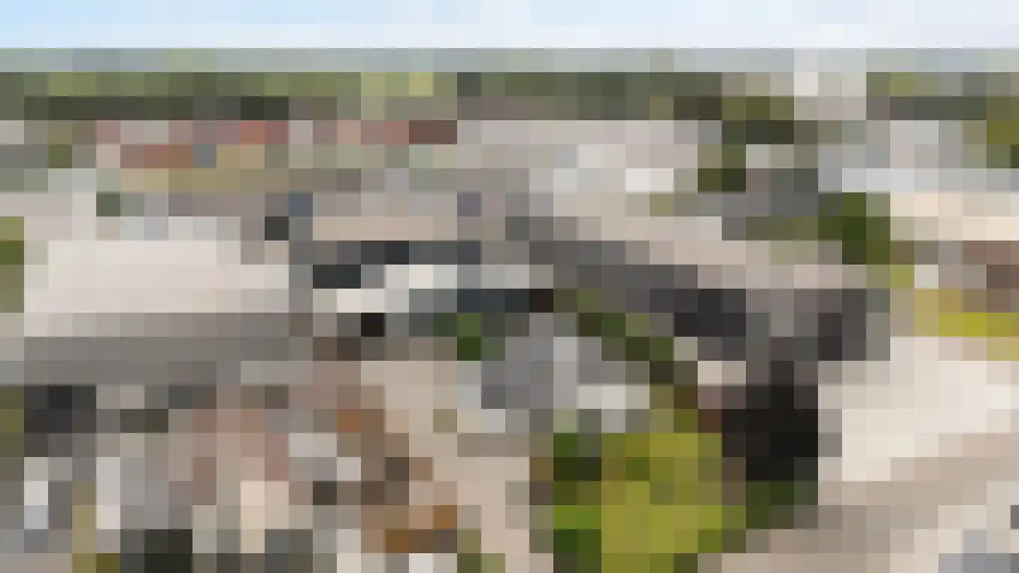 De Singel 27 Dalfsen thumbnail 51