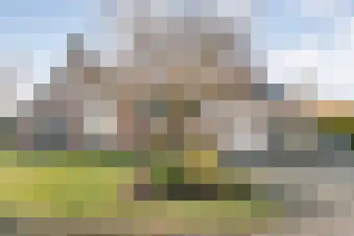 De Singel 5 in Dalfsen
