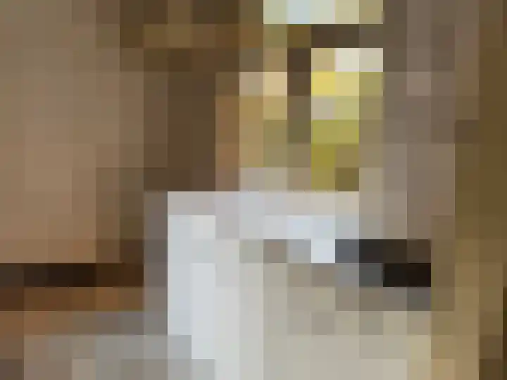 De Sitterlaan 13 Leiden thumbnail 15