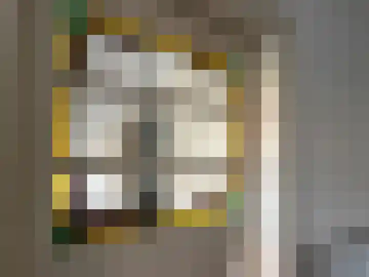 De Sitterlaan 13 Leiden thumbnail 4