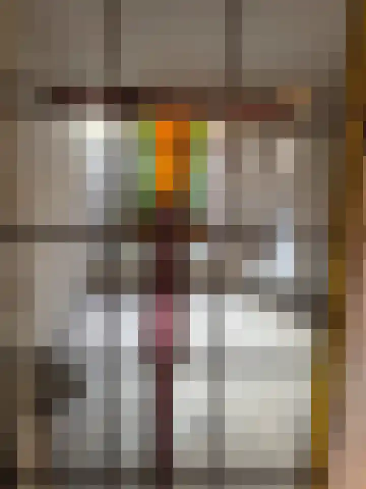 De Sitterlaan 13 Leiden thumbnail 8