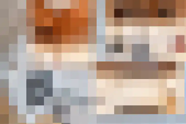 De Sitterlaan 66 Leiden thumbnail 19