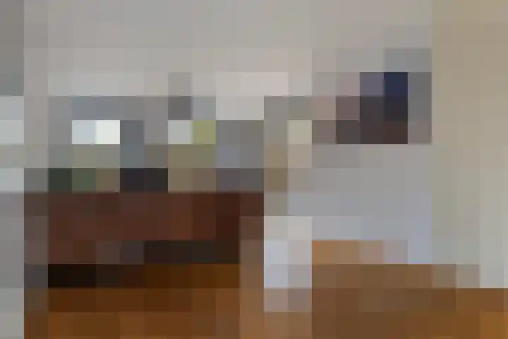 De Skeakels 3 Grou thumbnail 11