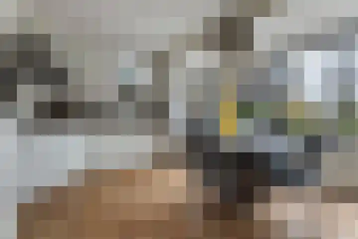 De Skeakels 3 Grou thumbnail 12