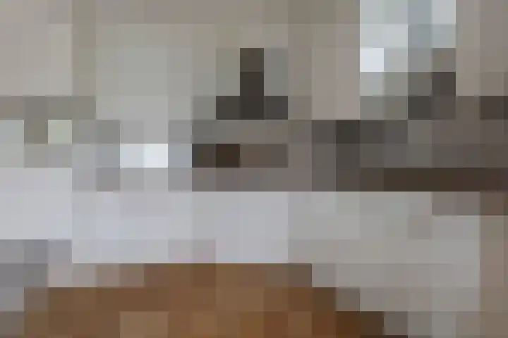 De Skeakels 3 Grou thumbnail 14