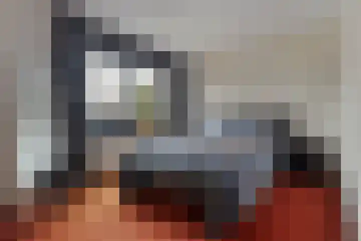 De Skeakels 3 Grou thumbnail 25