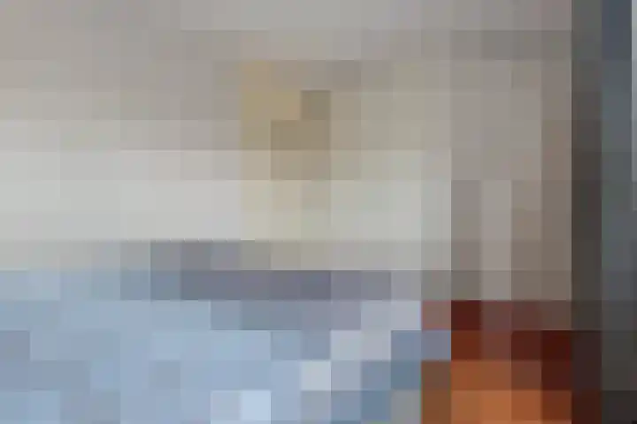 De Skeakels 3 Grou thumbnail 26