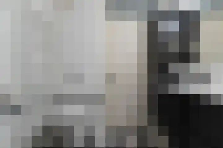 De Skeakels 3 Grou thumbnail 28