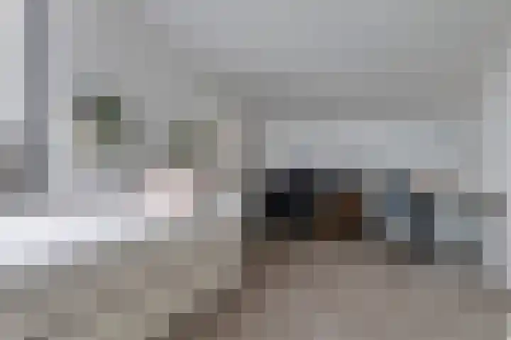De Skeakels 3 Grou thumbnail 33