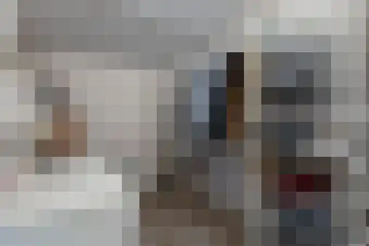 De Skeakels 3 Grou thumbnail 36