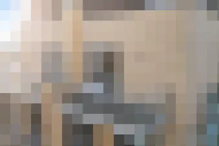 De Skeakels 3 Grou thumbnail 37