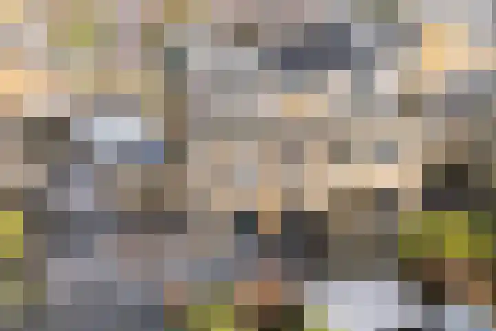 De Skeakels 3 Grou thumbnail 4