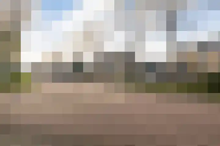 De Skeakels 3 Grou thumbnail 50