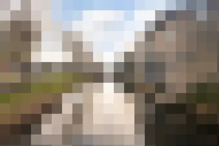 De Skeakels 3 Grou thumbnail 51