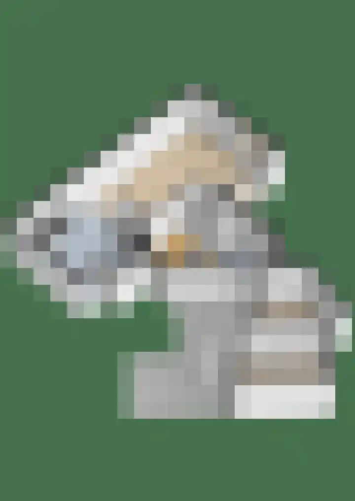 De Skeakels 3 Grou thumbnail 56