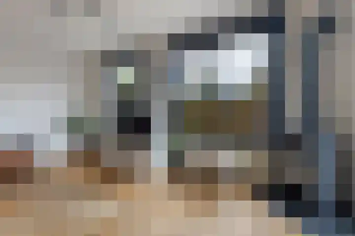 De Skeakels 3 Grou thumbnail 8