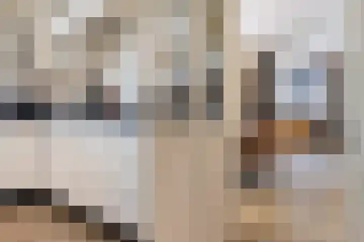 De Skûte 4 IJlst thumbnail 12