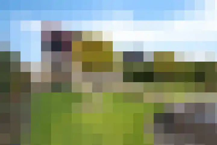 De Skûte 4 IJlst thumbnail 31