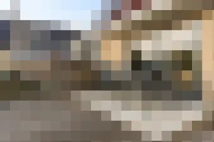 De Skûte 4 IJlst thumbnail 35