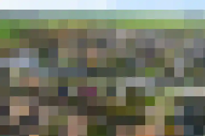 De Skûte 4 IJlst thumbnail 37