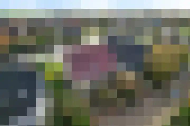 De Skûte 4 IJlst thumbnail 38