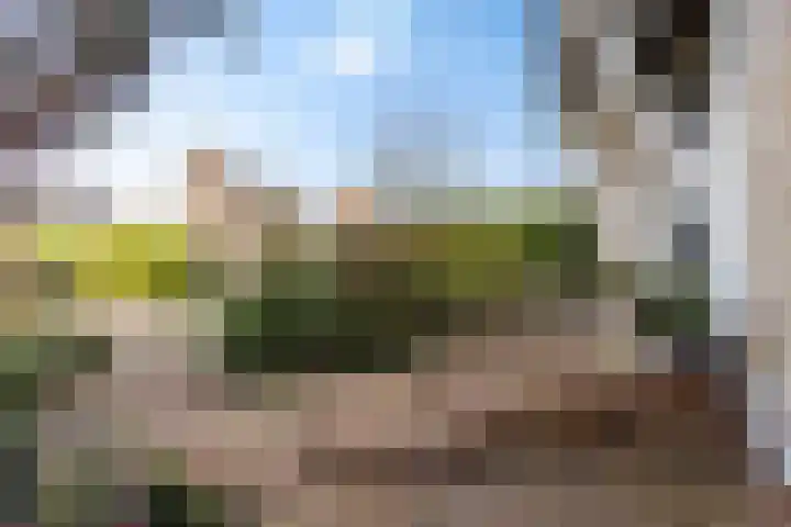 De Skûte 4 IJlst thumbnail 40