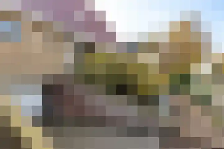 De Skûte 4 IJlst thumbnail 42