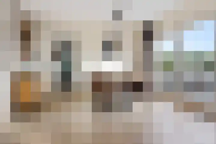 De Skûte 4 IJlst thumbnail 5
