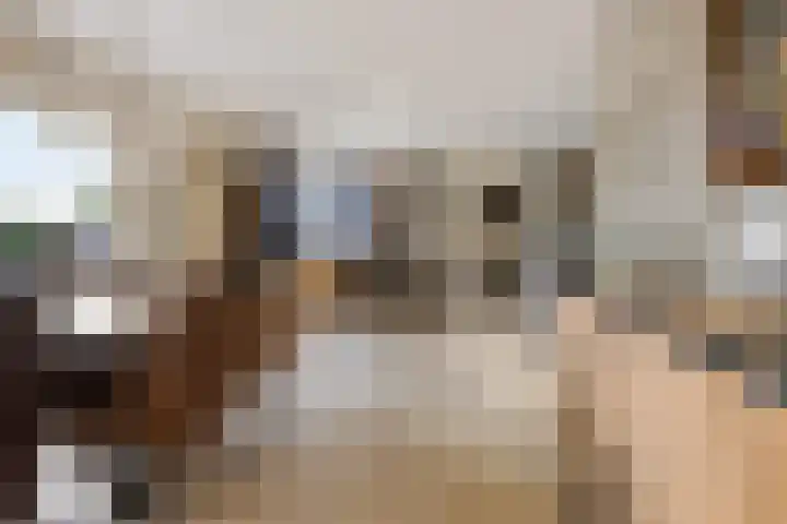 De Skûte 4 IJlst thumbnail 6