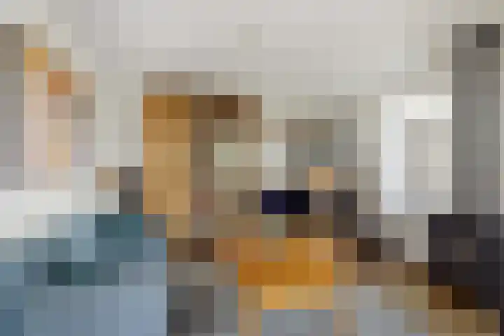 De Slachterij 18 Akkrum thumbnail 11