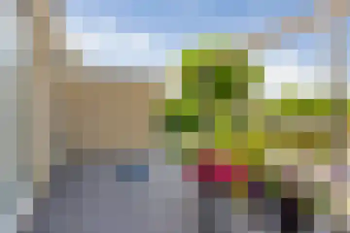De Slachterij 18 Akkrum thumbnail 20