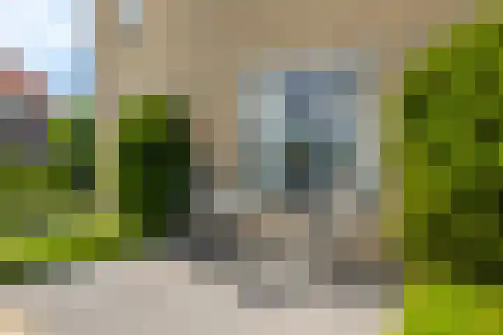 De Slachterij 18 Akkrum thumbnail 28