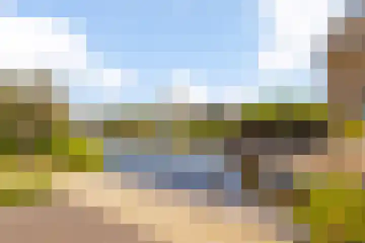 De Slachterij 18 Akkrum thumbnail 30
