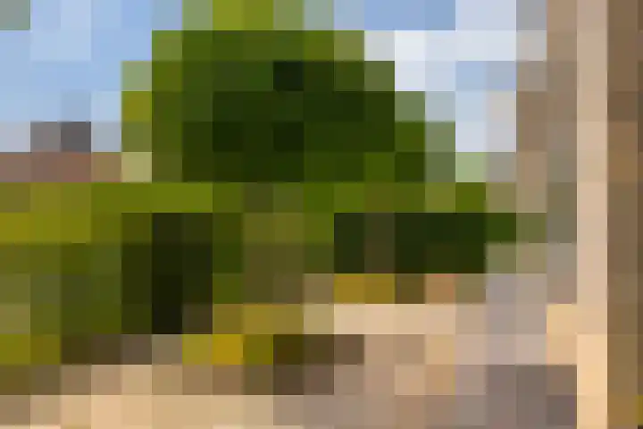 De Slachterij 18 Akkrum thumbnail 32