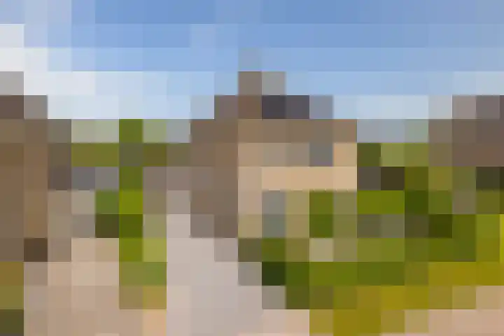De Slachterij 18 Akkrum thumbnail 4