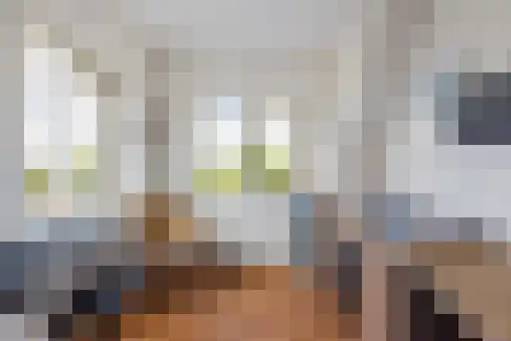 De Slachterij 18 Akkrum thumbnail 40