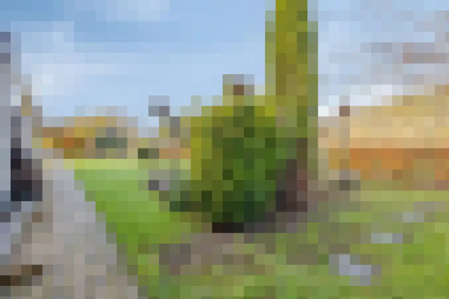 De Slatten 26 Oosterwolde thumbnail 59