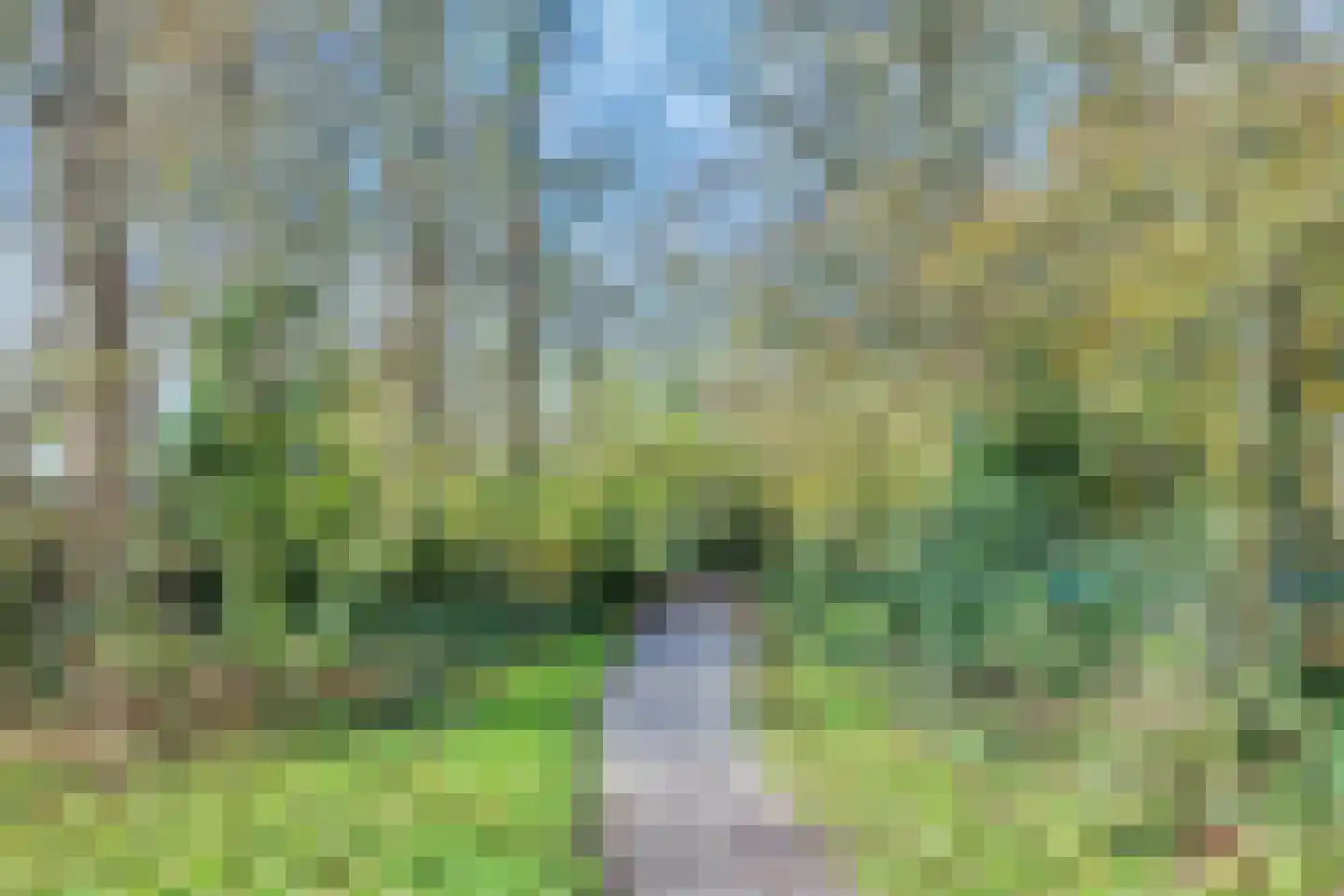 De Slatten 26 Oosterwolde thumbnail 69