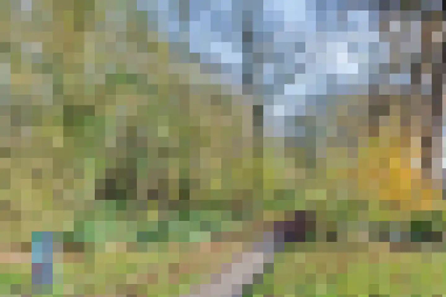 De Slatten 26 Oosterwolde thumbnail 70