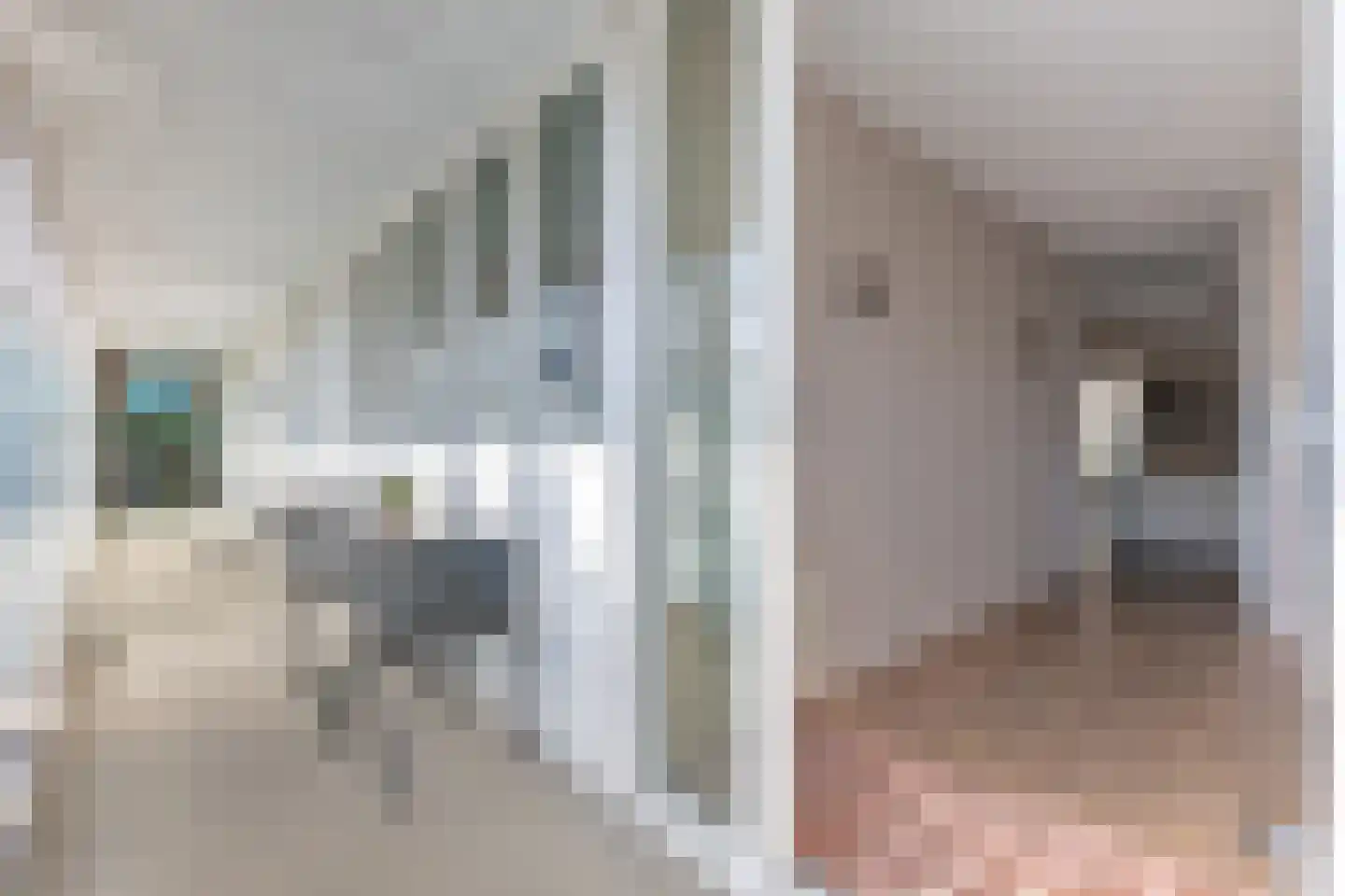 De Smidse 12 Ruurlo thumbnail 10