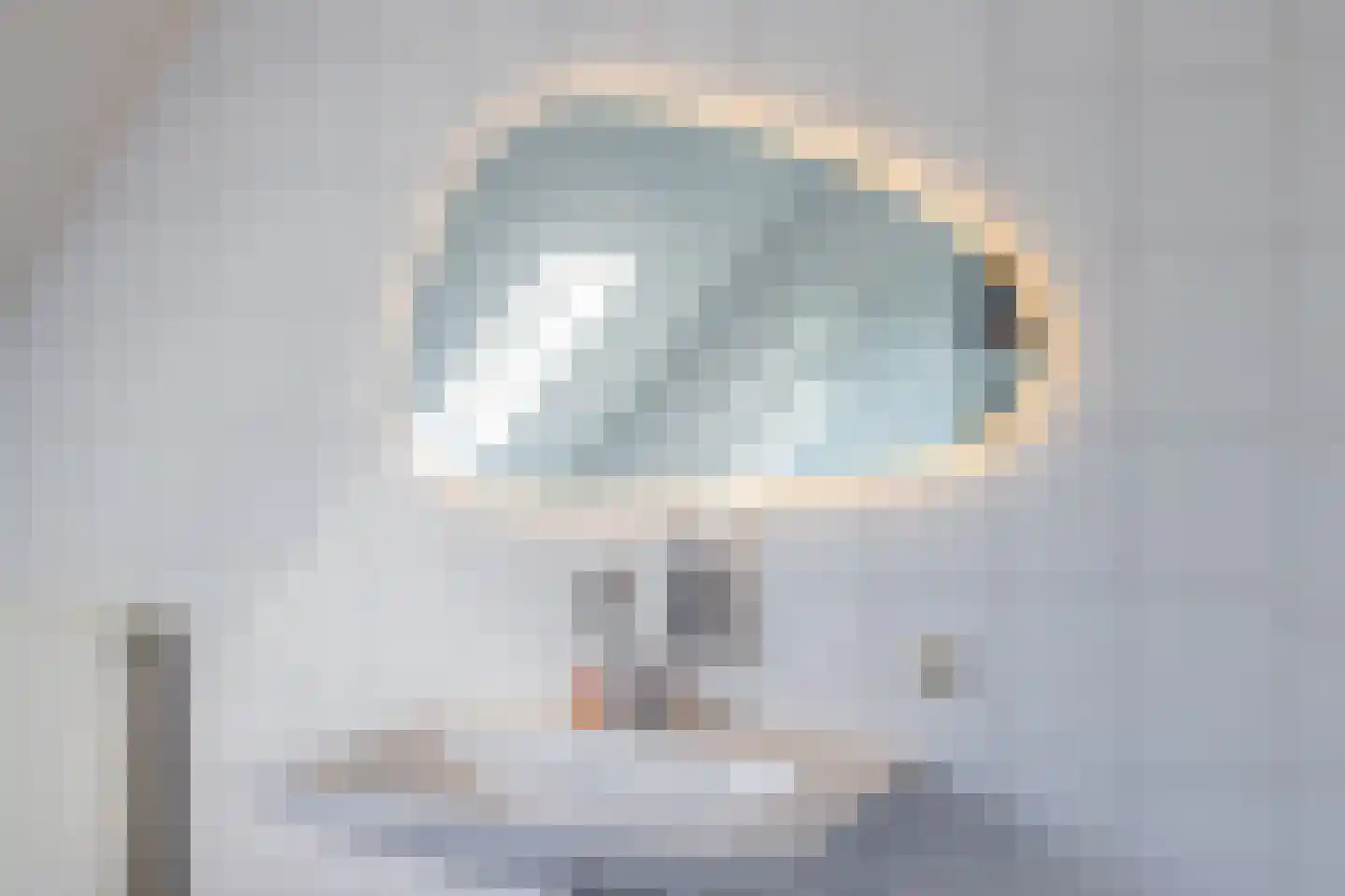 De Smidse 12 Ruurlo thumbnail 18