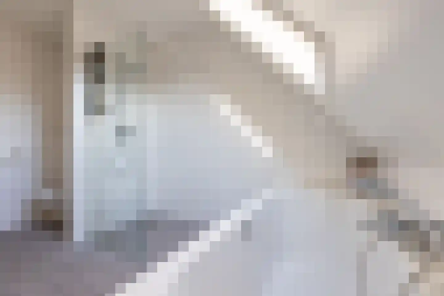 De Smidse 12 Ruurlo thumbnail 19