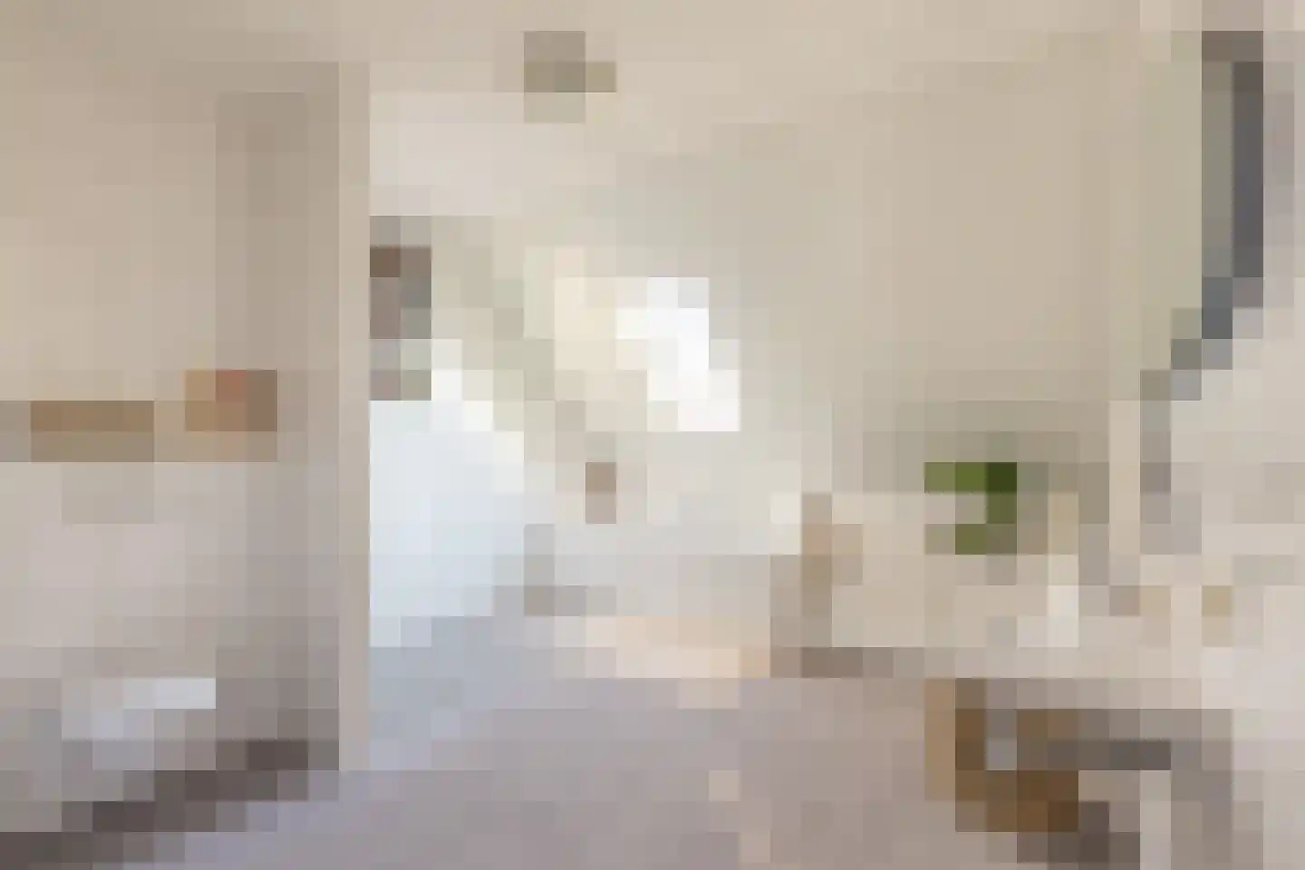 De Smidse 12 Ruurlo thumbnail 6