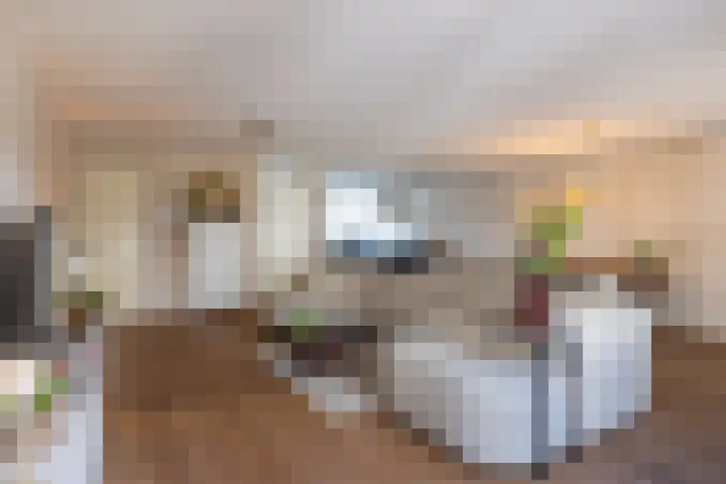 De Smidse 12 Ruurlo thumbnail 7