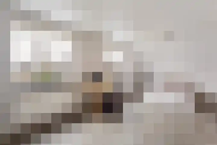 de Snieder 2 Saasveld thumbnail 15