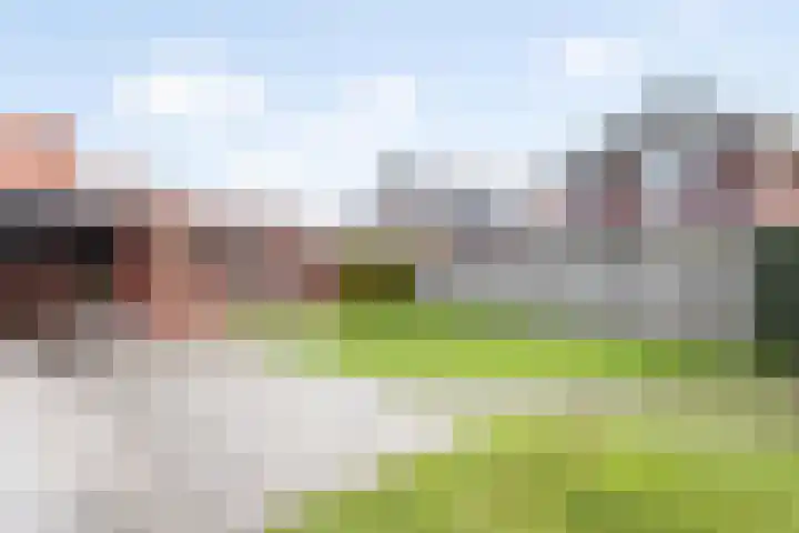 de Snieder 2 Saasveld thumbnail 19