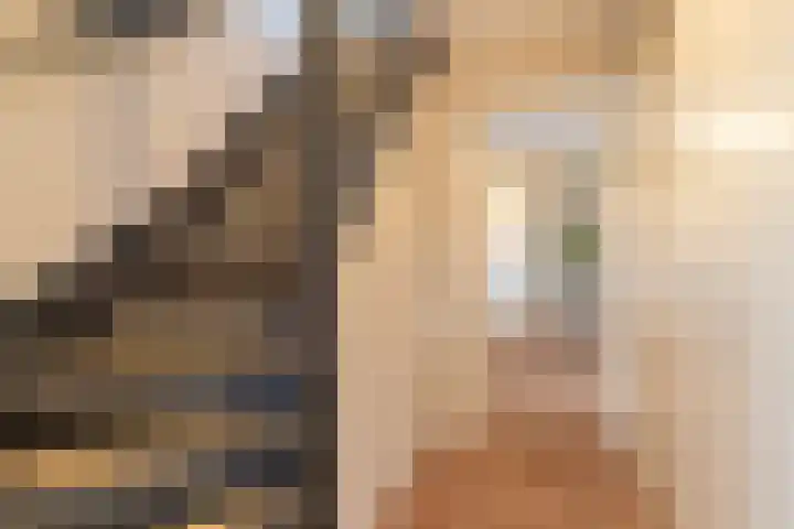 De Snik 28 Zoutkamp thumbnail 11